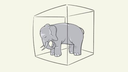 The elephant in the room